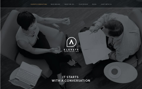 Elevate Consulting/Web Design